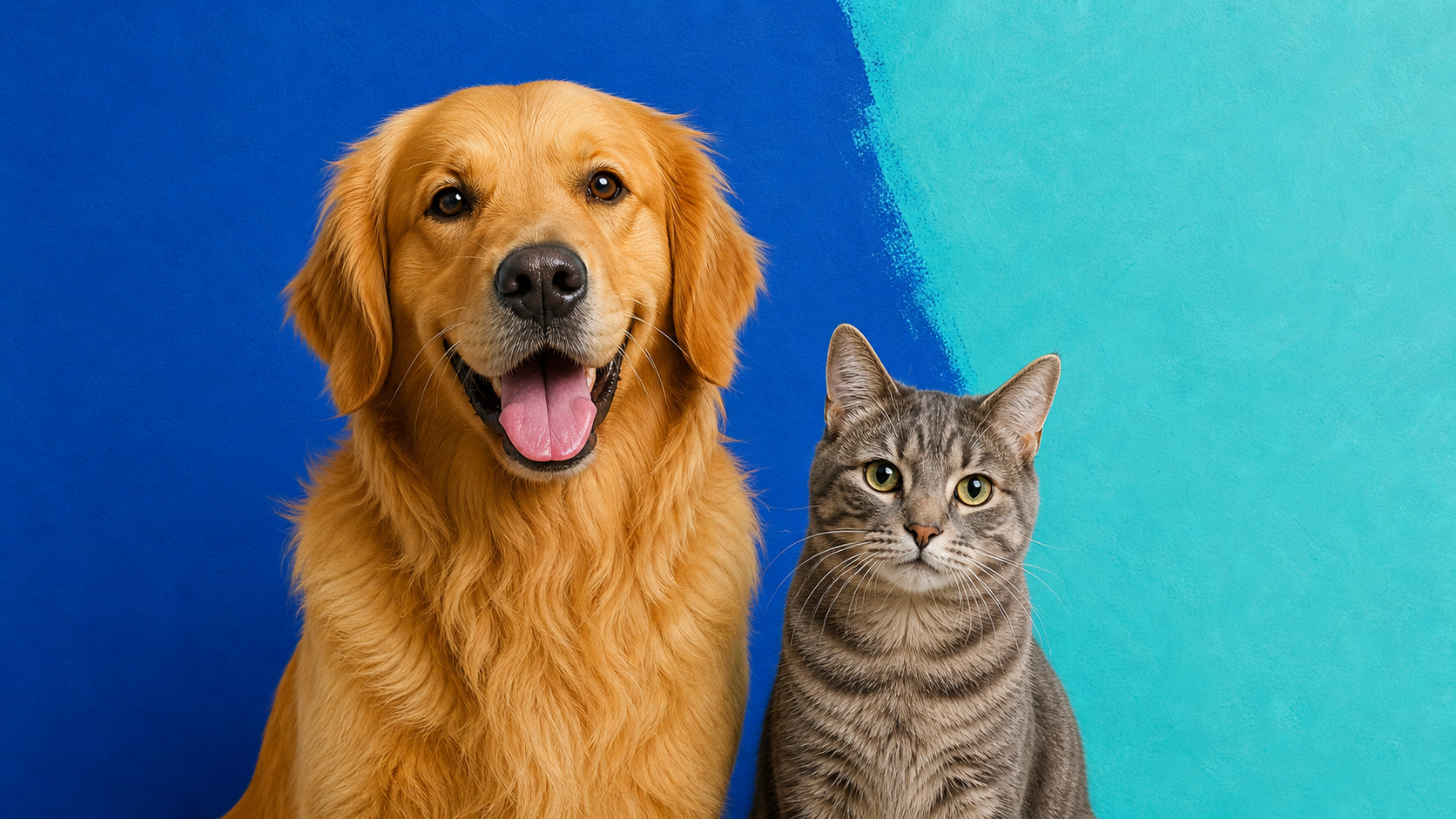 A golden retriever and grey tabby cat sitting together against a colourful studio background